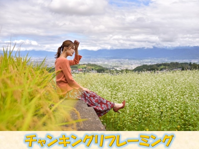 ブログ２６０